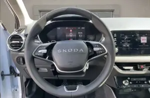 Skoda Fabia Tour 1.0 TSI 116PS DSG Fahrassi Winter Bild 5