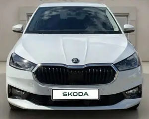 Skoda Fabia Tour 1.0 TSI 116PS DSG Fahrassi Winter Bild 2