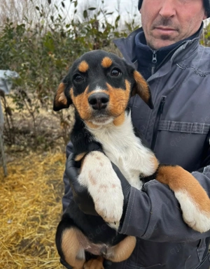 Lego - sehnt sich nach einer Familie