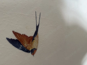 Nette Türke sucht neu Haus für Freundschaften ( Familie) 