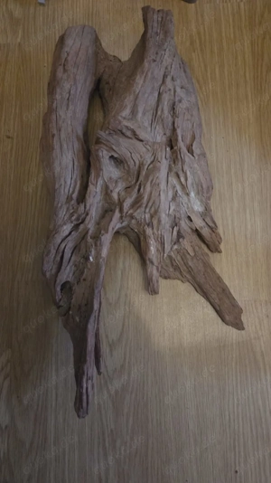 Terrarien Terrarium Zubehör 