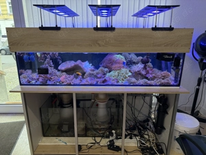 Meerwasseraquarium Komplett abzugeben