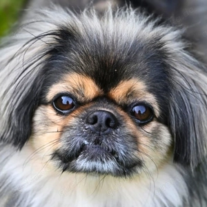 Maik - braucht Sicherheit 