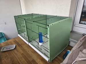 zuchtbox käfig