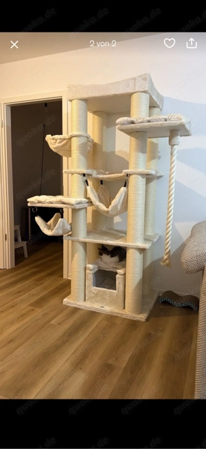 milow und kiara  Bild 5