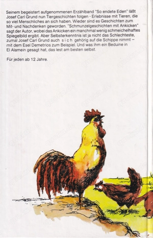 Dackel mit Stammbaum  Bild 2