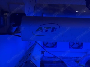 Meerwasseraquarium  Bild 2