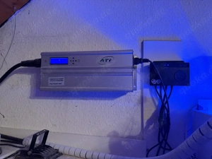 Meerwasseraquarium  Bild 4