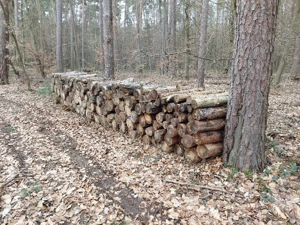 Brennholz zu verkaufen. 