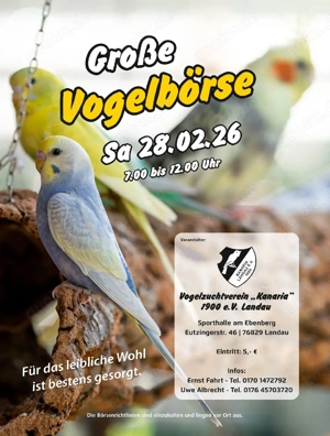 vogelbörse 