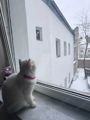 nicht verkaufen  Bild 2