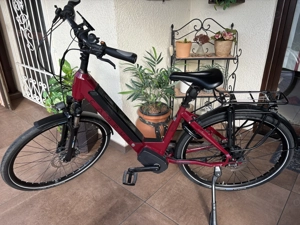 Campus E-Bike BM 28
