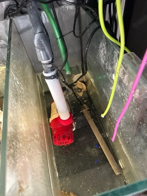 Royal Exclusiv Pumpe