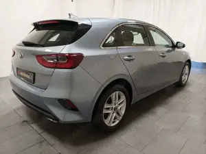 Kia Ceed / cee'd Ceed 1.5 T-GDI Navi|CAM|SitzLenkrhzg. Bild 5