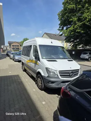 Mercedes-Benz Sprinter 313 CDI Sprinter 313 CDI 906.733