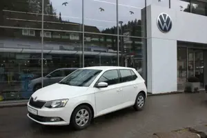 Skoda Fabia Ambition Green tec 1.0 Klima,GRA,NSW Bild 1