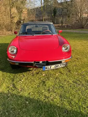 Alfa Romeo Spider Alfa Romeo