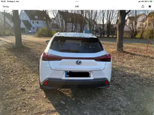 Lexus UX 250h Executive Line