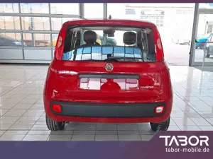 Fiat Panda MHEV 4-Sitzer DigCo Temp Klima UVP-28%* Bild 3