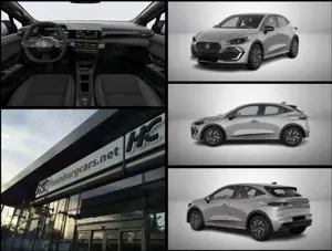 Renault Clio Evolution TCe 115 EDC (Aut.) Sitzh, Parks(h)