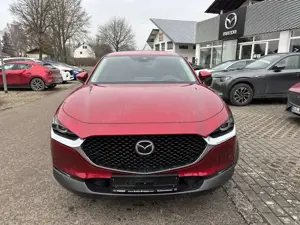 Mazda CX-30 SKYACTIV-G 150 M-Hybrid SELECTION Design-Paket Bild 2