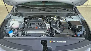 Kia Sportage 1.6T 2WD DCT VISION KOM Bild 5