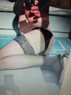 DWT-Transe sucht Araber oder Südländer mit L bis XXL cock