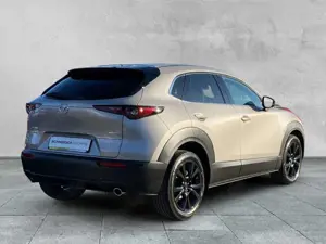 Mazda CX-30 2.5L e-SKYACTIV G FWD Nagisa BOSE+SHZ+NAVI Bild 5