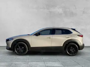 Mazda CX-30 2.5L e-SKYACTIV G FWD Nagisa BOSE+SHZ+NAVI Bild 2