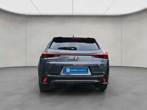 Lexus UX 250h 250h F-Sport Design Bild 4