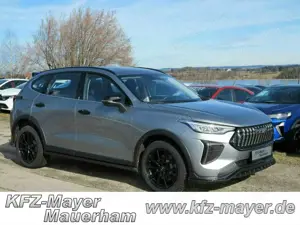 GWM Others Jolion Pro Premium, mit 18" Alufelgen schwarz und