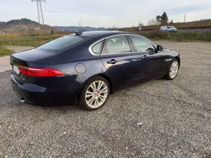 Jaguar XF 30d Aut. Portfolio Bild 3
