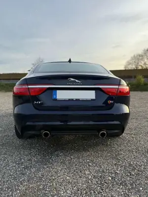 Jaguar XF 30d Aut. Portfolio Bild 4