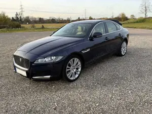 Jaguar XF 30d Aut. Portfolio Bild 2