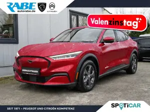 Ford Mustang Mach-E Aut+ParkAssist+Klima+ACC+Sitzhzg Klima Navi Leder