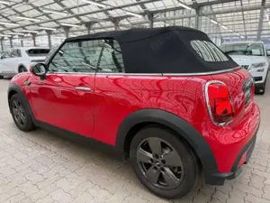 MINI Cooper Cabrio Cabrio Cooper  Classic Trim|LED|PDC|DCT Bild 4