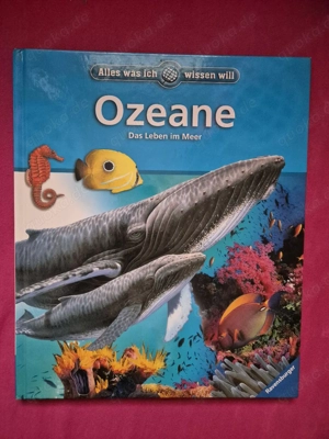 Das Leben im Meer Alles was ich wissen will
