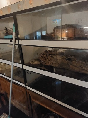 Guten Tag, ich habe sechs Terrariums