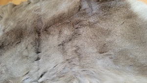 Rehfell Tierfell Larp 70x40 Bild 3