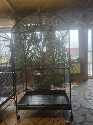 vogelvoliere  Bild 3