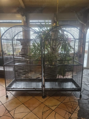 vogelvoliere  Bild 5