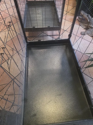 vogelvoliere  Bild 4