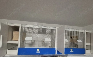 Wellensittich Zuchtbox 