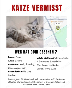 Katze vermisst 