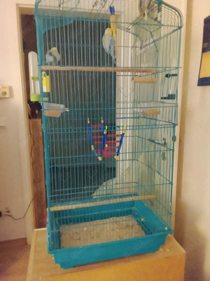 2 Wellensittiche mit Käfig
