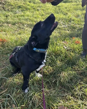 Funny unsere kleine Elfe