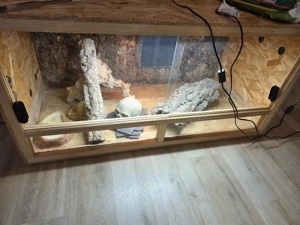 Terrarium inkl Tecnik u Zubehör 
