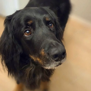 Arko - ländliches Zuhause,Garten wäre gut 