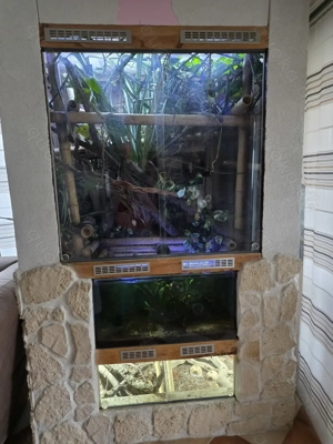 Terrarium und Aquarium 