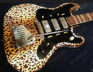 Biete 1960er Höfner E Git 173, 176 ,Bass 185,, Hagström 2., Echo S 65, M 40 Klemt, suche dito+defekt